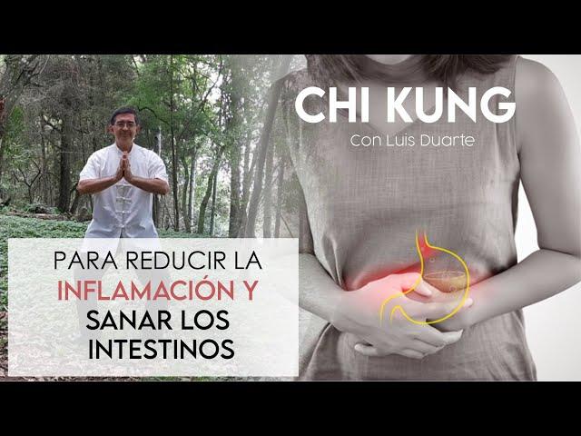 Como reducir la INFLAMACION y sanar tus INTESTINOS con ejercicios de CHI KUNG