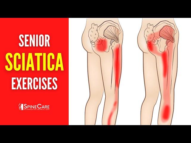 EASY Sciatica Pain Relief Exercises for Seniors