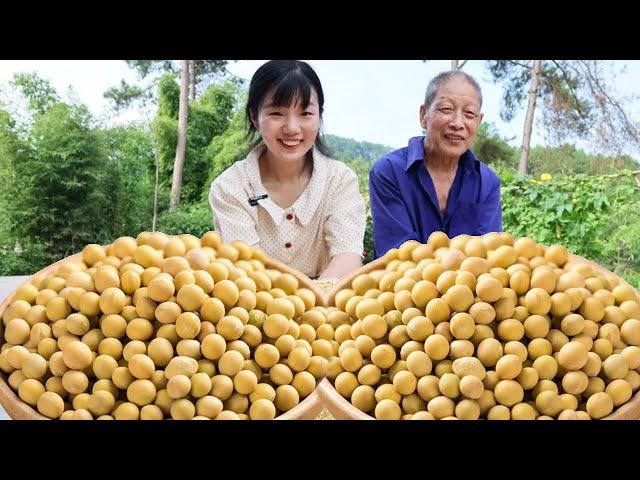 3 jin a box of small soybeans for market sale! The village secretary bought machines to help produc