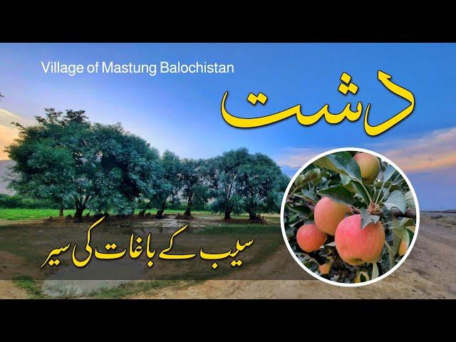 Dasht Mastung | Dasht Quetta Balochistan | Apple Garden | QADEER QUETTA | Episode 11