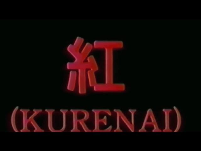 X JAPAN ～ 紅 /  KURENAI 1989 - 2016