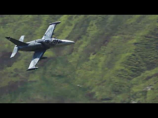 L39 Albatross Jet - Mach Loop - 01/06/2023