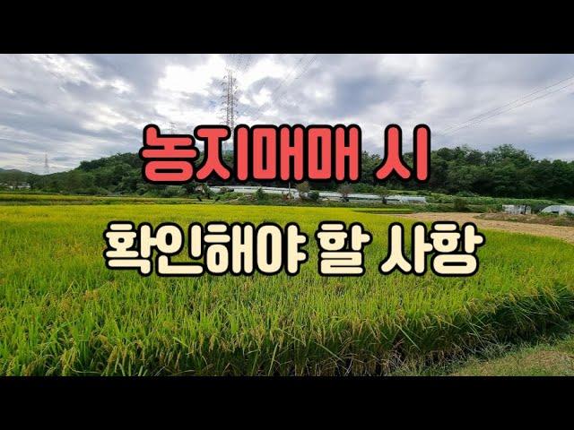 농지 매매 시 확인해야 할 사항