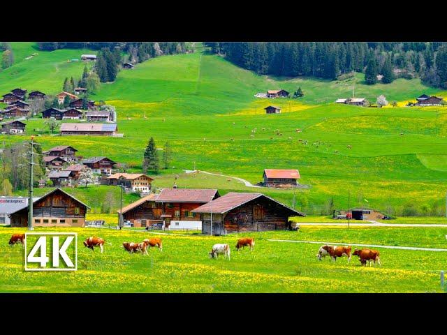 Switzerland  Zweisimmen, the gateway to the world-famous Gstaad region