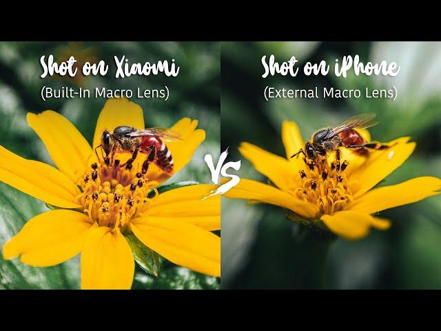 Are External Macro Lenses useless in 2021? - Xiaomi Mi 11 VS iPhone 12 Mini