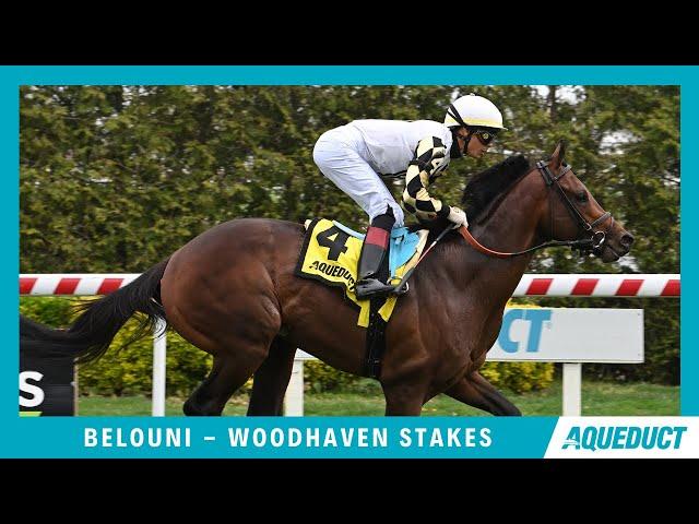 Belouni - 2023 - The Woodhaven