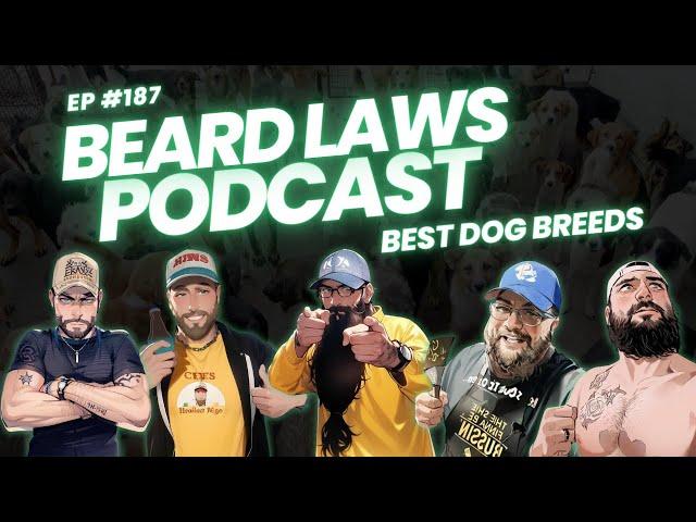 Best Dog Breeds Draft Show | Beard Laws Podcast Episode 187