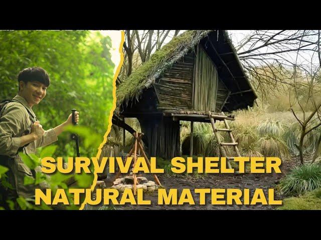 Build Survival Shelter From Scratch: Natural Materials Only