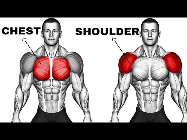 Best Shoulder and Chest Workout at Gym | Upper Body Exercises