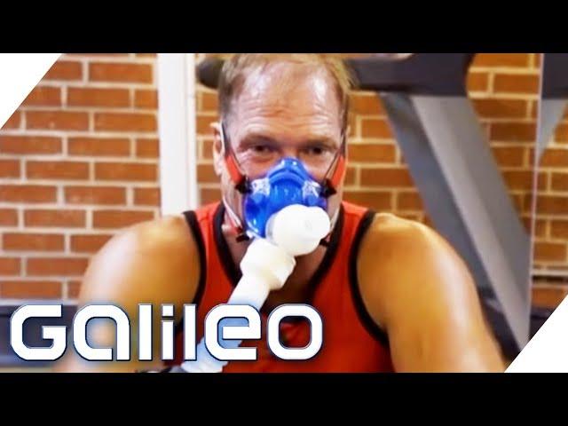 Dieser Mann isst seit 2 Jahren nur Fleisch! Wie gesund ist die Fleisch-Diät? | Galileo | ProSieben