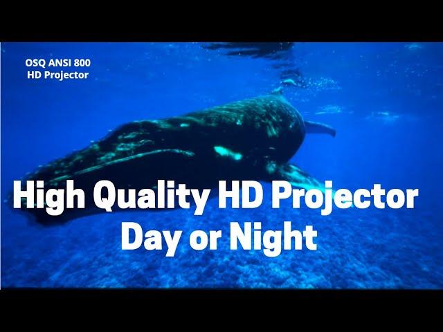 REVIEW: OSQ 800 ANSI HD Outdoor Movie Projector w/ Bluetooth, Up to 300" Home Cinema Video Projector