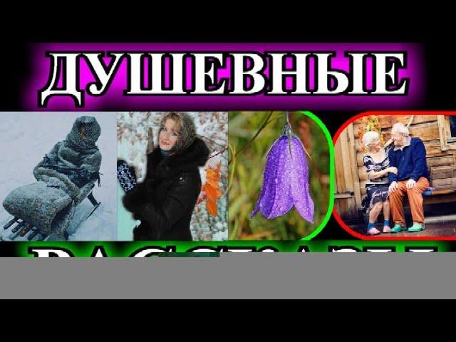 ДУШЕВНЫЕ РАССКАЗЫ️МНОГОТОЧИЕ ДЛЯ ЗОЛУШКИ️УДОЧЕРЯЮ️МЫ ЭХО ДРУГ ДРУГА️РАССЕЯННЫЙ ХОР@TEFI РАССКАЗЫ