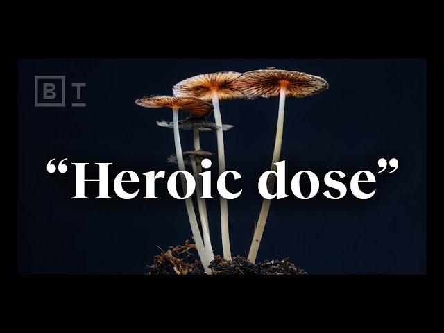 The “heroic dose” of psychedelics, according to Johns Hopkins | Dr. Matthew Johnson
