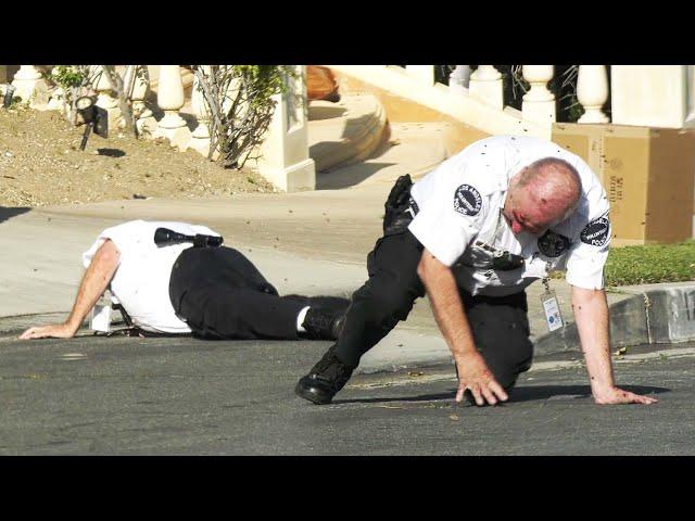 Angry Bee Swarm Attacks Volunteer Police Officer on Live TV