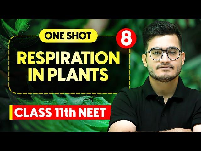 RESPIRATION IN PLANTS - Complete Chapter in One Video || Concepts+PYQs || Class 11th NEET