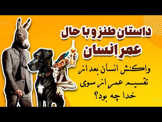 داستان عمر انسان و سگ و خر و میمون | خدا بعد از آفریدن خر به او گفت ...