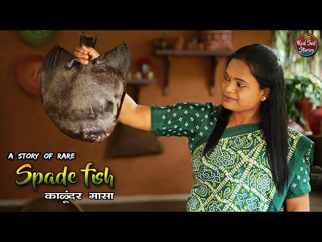 Rare Spadefish Made Traditionally in Kokani Style | Maharashtra Village Lifestyle | Red Soil Stories