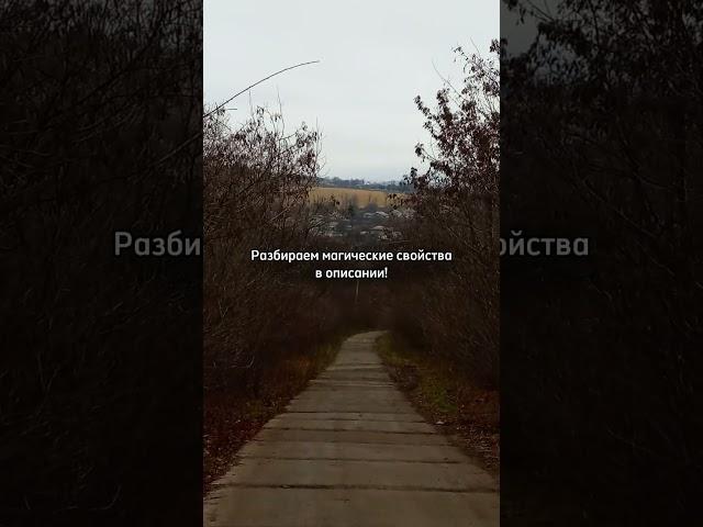 Зеркало - портал в другие миры?