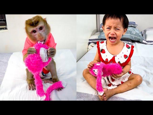 Why Diem Cried When Monkey Kaka Tore Her Favorite Stuffed Animal