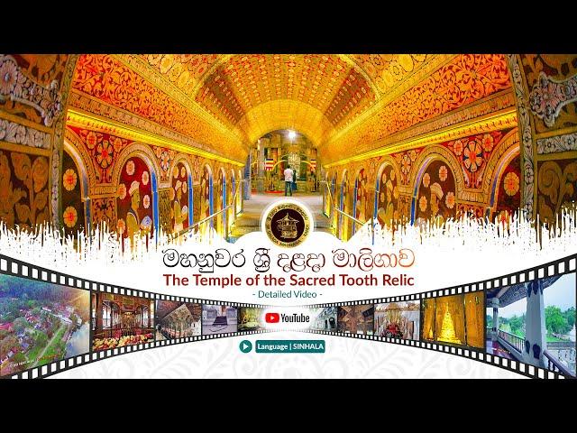 Sri Dalada Maligawa ශ්‍රී දළදා මාලිගාව - Detailed Video Profile | Sinhala