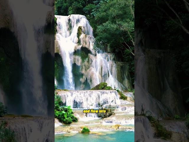 Kuang Si Waterfall in Luang Prabang, Laos  | a perfect natural getaway #laos #laostravel