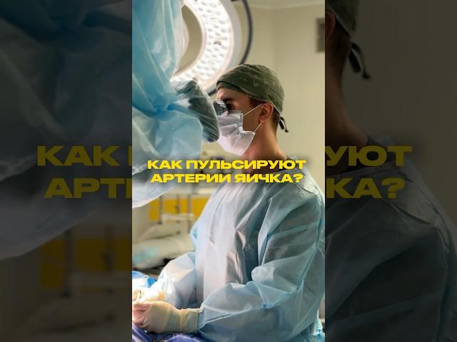 ИМЕННО ТАК ПУЛЬСИРУЮТ СОСУДЫ ЯИЧКА #игорьрева #варикозноерасширениевен #вены