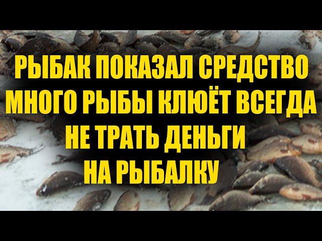 Рыба у меня всегда клюёт, вот мой секрет, видео для подписчиков канала РЫБАЛКА FISHING SECRETS