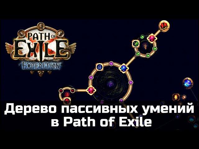 Дерево умений от А до Я. Гайд для новичков в Path of Exile.