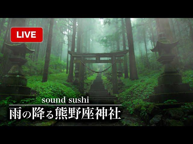 【環境音】雨の降る神社/睡眠導入/作業用BGM/リラクゼーション/雨の音,雨音,幻想的,癒し,森,ジブリの世界,自然,観光名所