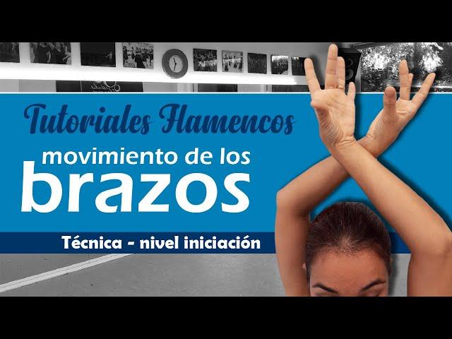 Brazos en Flamenco - Iniciación - TUTORIALES FLAMENCOS