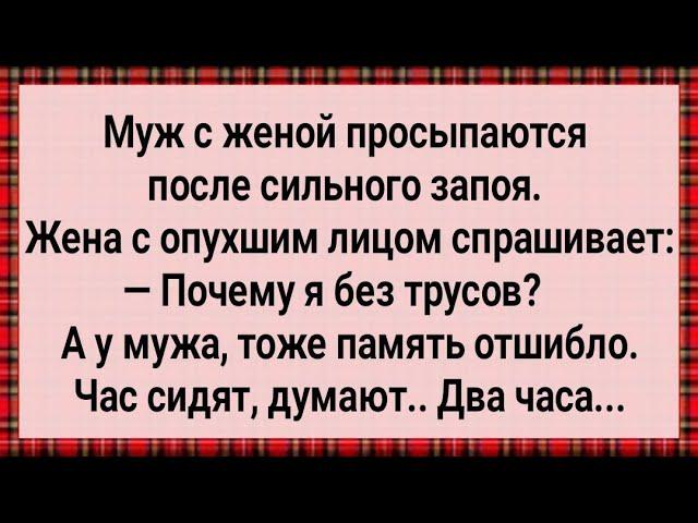 Как Муж с Женой в Загул Ушли! Сборник Свежих Анекдотов! Юмор!