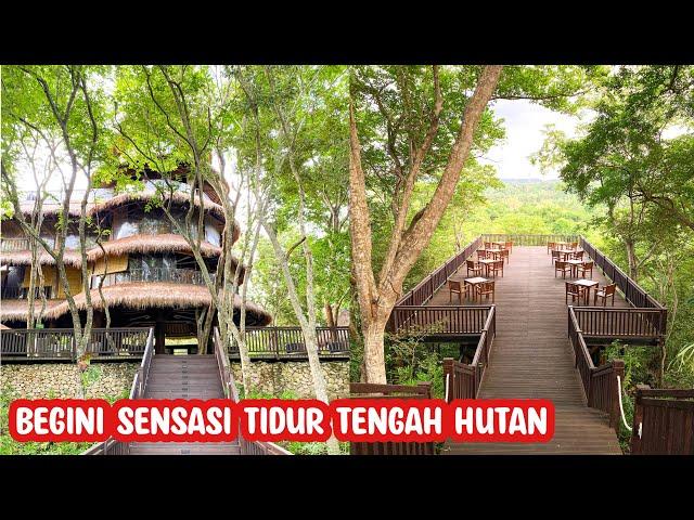 ASYIKNYA MENGINAP DI TENGAH HUTAN | The Menjangan Resort by LifestyleRetreats Bali