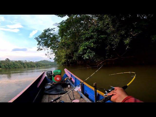 Langsung Disambar Babon!! Mancing Baung Pakai Umpan Gacor