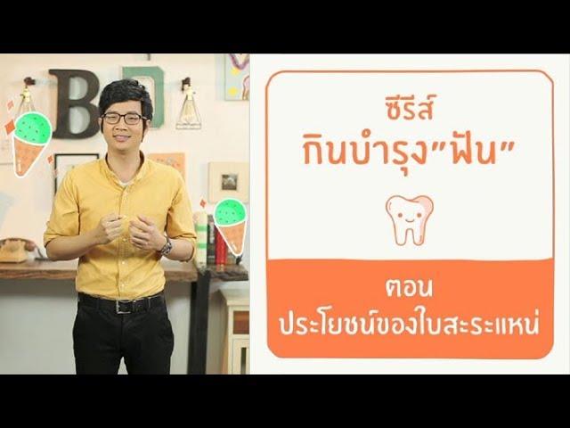 ประโยชน์ของใบสะระแหน่ ซีรีส์ กินบำรุง"ฟัน" : กินกับหมอ [by Mahidol]