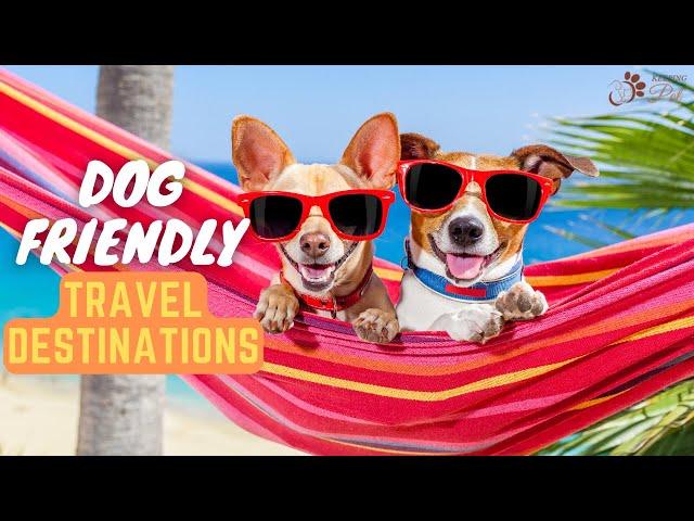 Top 10 Dog Friendly Travel Destinations