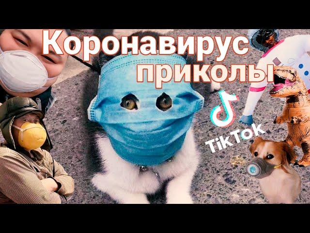 Приколы из Китая про Коронавирус. Жизнь в Китае.