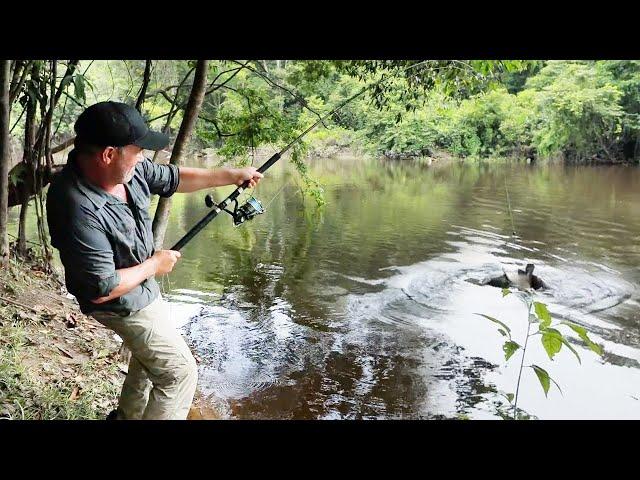 Je pêche un Poisson ULTRA DANGEREUX et Très Rare ! - Cyril Chauquet