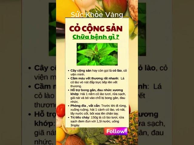 Bí Quyết Giữ Gìn Sức Khỏe Toàn Diện | Sức khỏe vàng #ChămSócSứcKhỏe #BảoVệSứcKhỏe #SốngKhỏeMỗiNgày