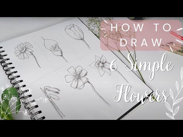 6 Simple but Realistic Flowers You Can Draw Right Now (Beginner Friendly Guide)