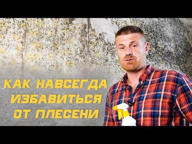 Как избавится от Плесени, Грибка и Мха НАВСЕГДА