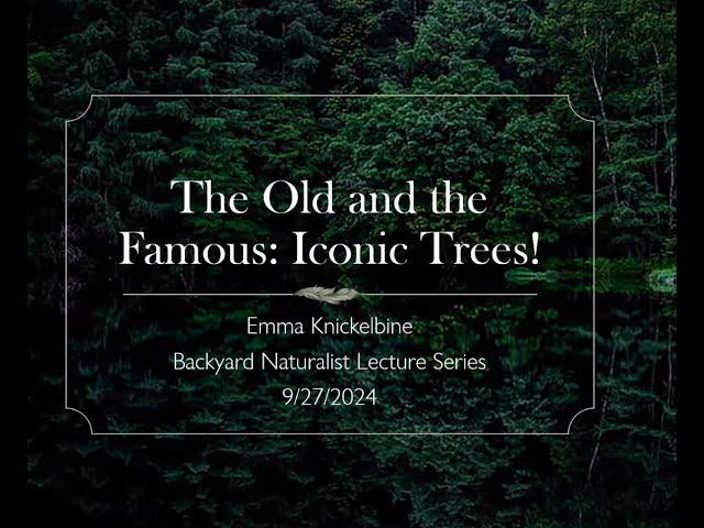 The Old and the Famous: Iconic Trees! - Backyard Naturalist Lecture Series