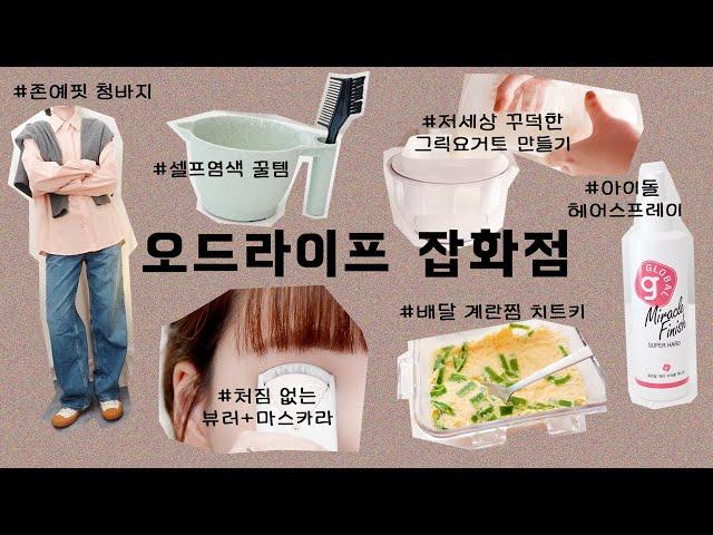 오드라이프 잡화점월2월에 잘 사용한 템 6가지