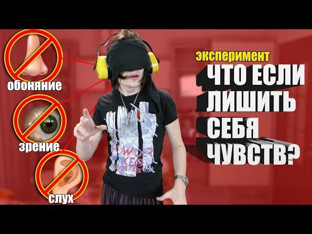 ЧТО БУДЕТ ЕСЛИ ЛИШИТЬ СЕБЯ ЧУВСТВ? | Проверил на себе