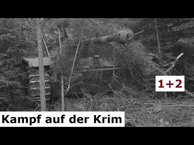 Sturmgeschütze im Kampf - 1942