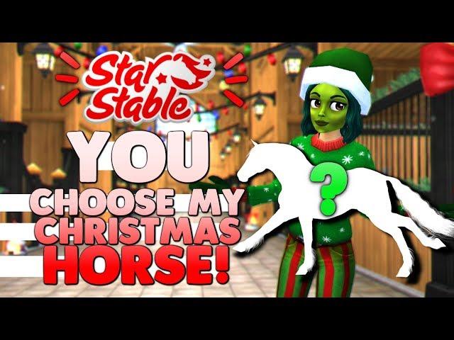 YOU Choose the Horse I Buy for Christmas on Star Stable!  