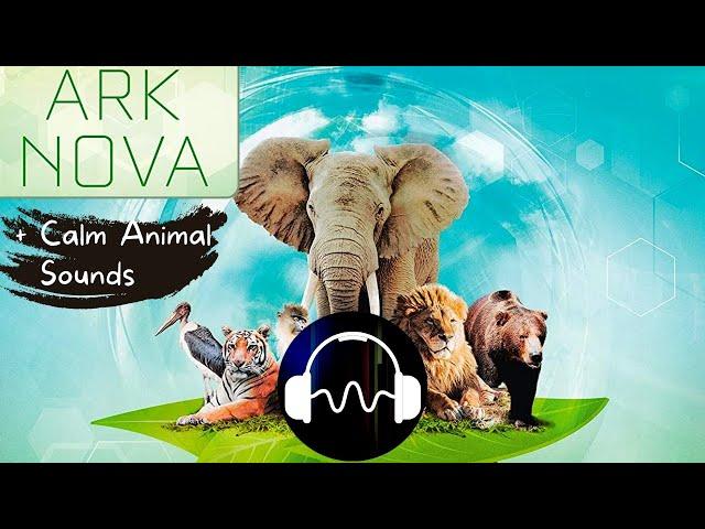  Ark Nova Soundtrack - Ambient Music for playing the Board Game Ark Nova [with animal Sounds]