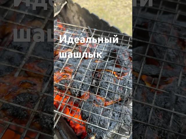 Как приготовить идеальный шашлык