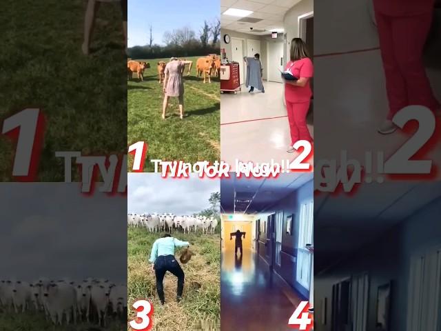 unbelievable video  #skipidi dom Triggered insaan, live insaan, fukra insaan, comedy funny #hindi
