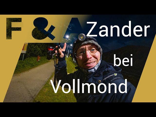 Zander angeln mit Gummifisch | diese Farbe fängt bei Vollmond!!! Spinnfischen am Fluss