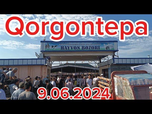 Андижон вилояти Коргонтепа хайвон бозори Хар хилларидан 9.06.2024 #tezkor #vodiydansado